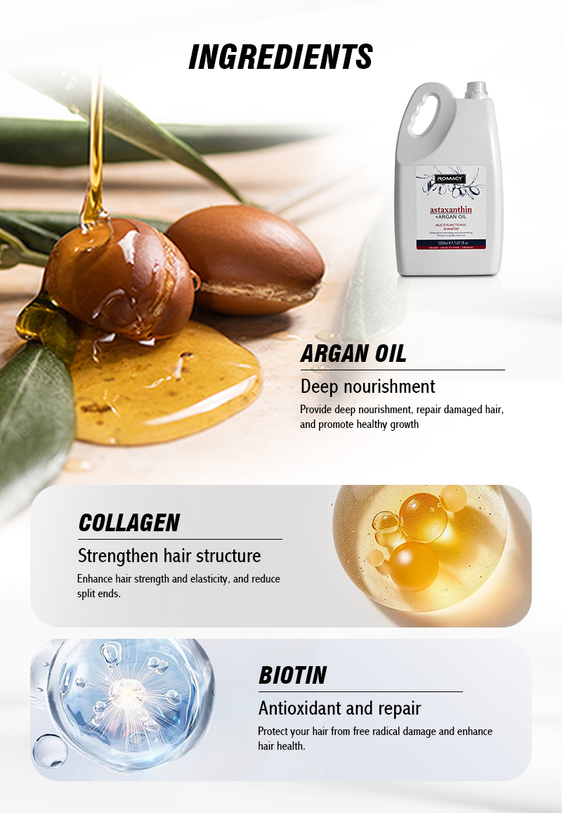 Sulfate-free shampoo ingredient infographic - argan oil and plant proteins