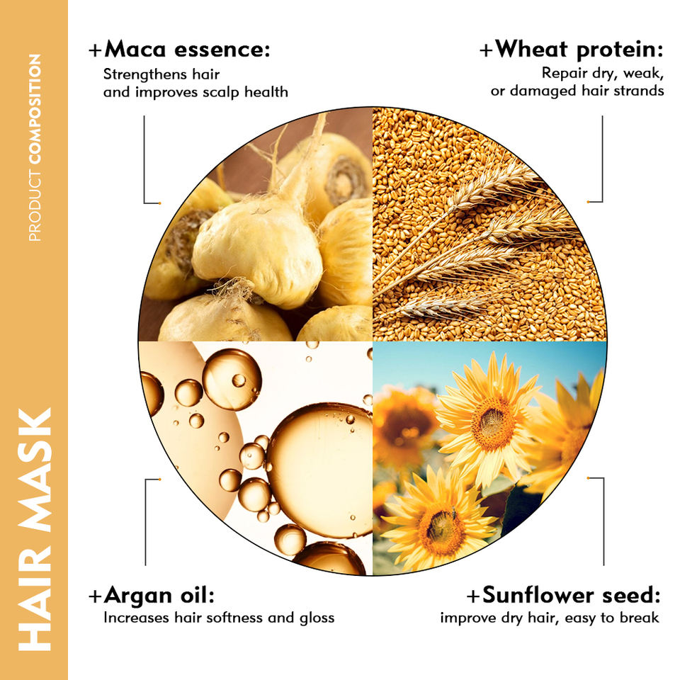 4 active ingredients infographic - maca essence wheat protein argan oil sunflower seed